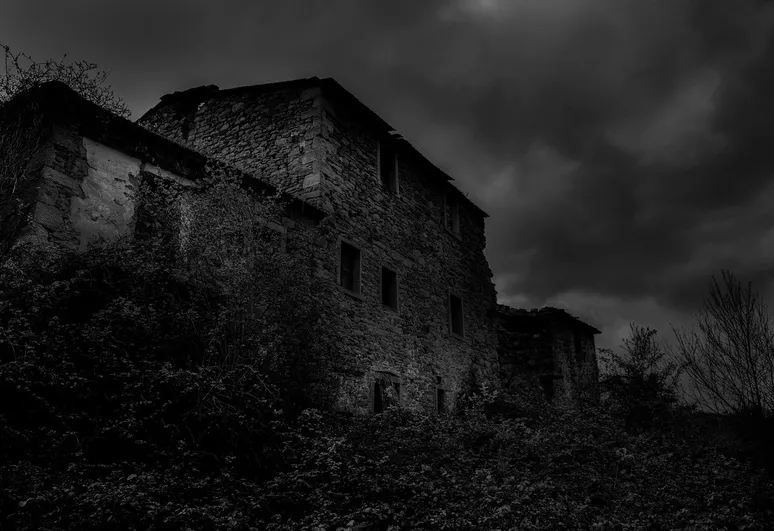 pexels-photo