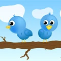 Adiós al limite de 140 caracteres en los mensajes directos de twitter